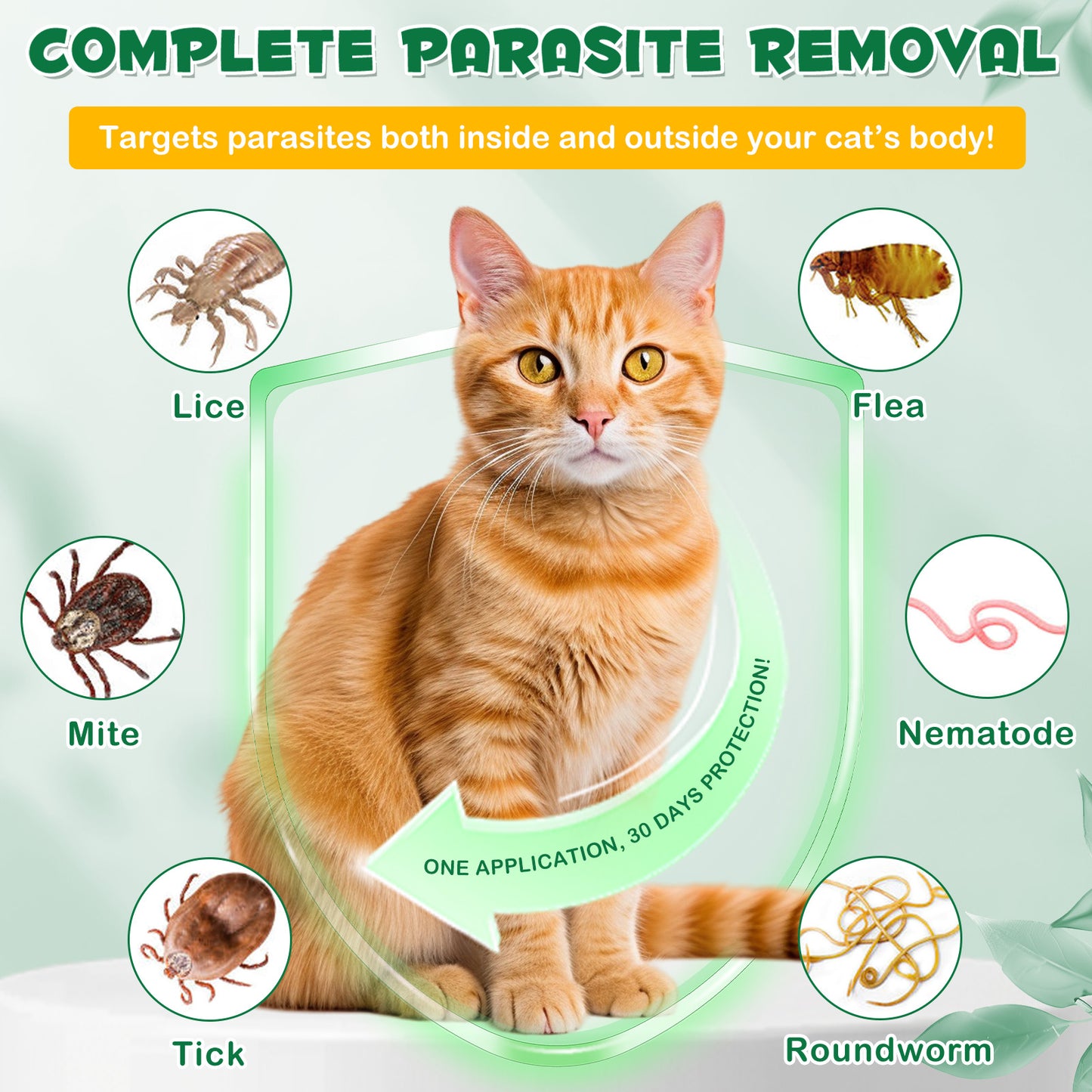 KITNOBLIS FLEA&TICK PREVENTION For Cats