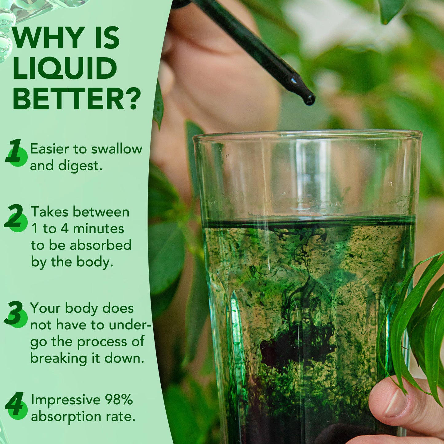 Leeylitdrag LIQUIDCHLOROPHYLL ALCOHOL & GLUTEN FREE