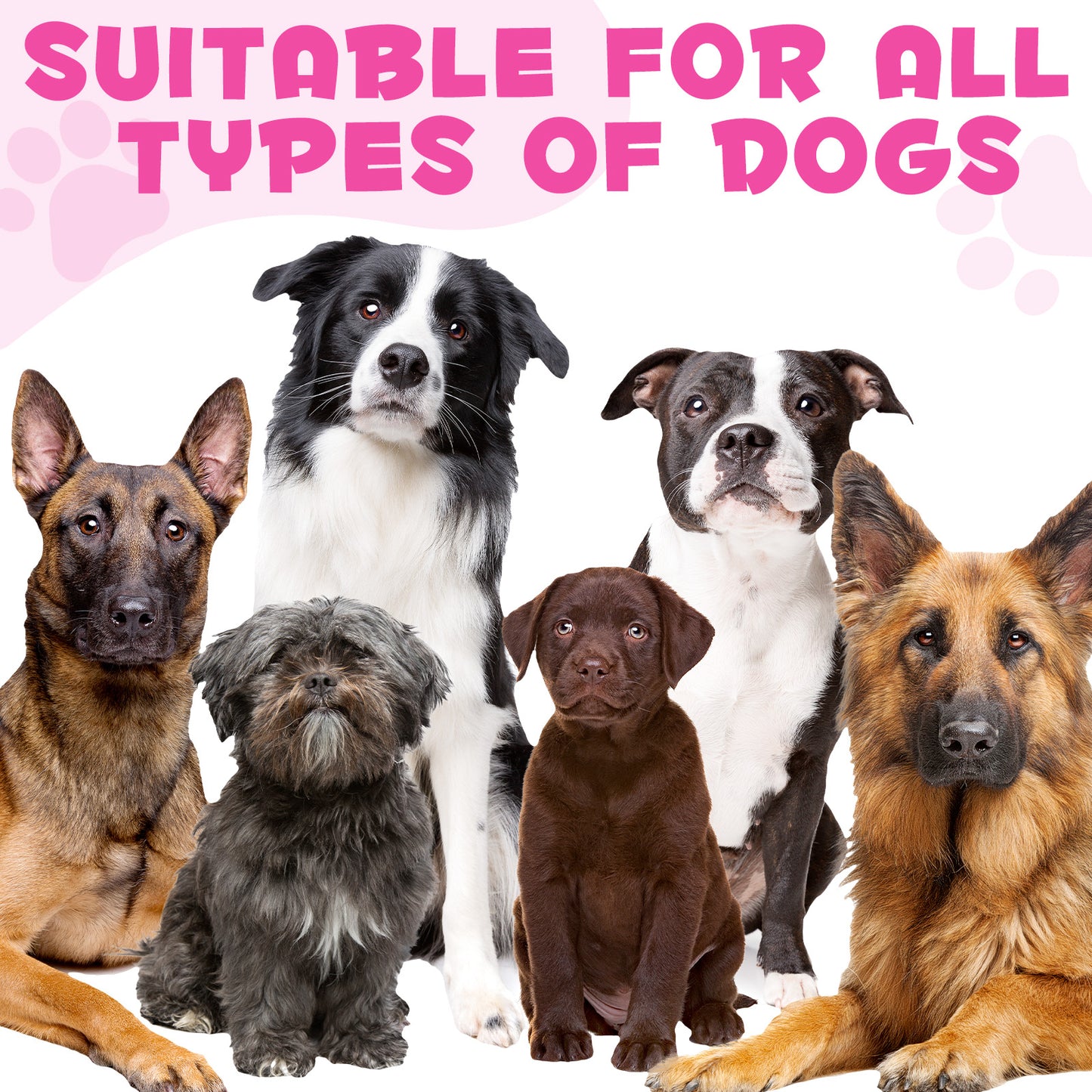 WOJBALMN COLLAGEN with Biotin,MSM & Ging,Treament For Dogs