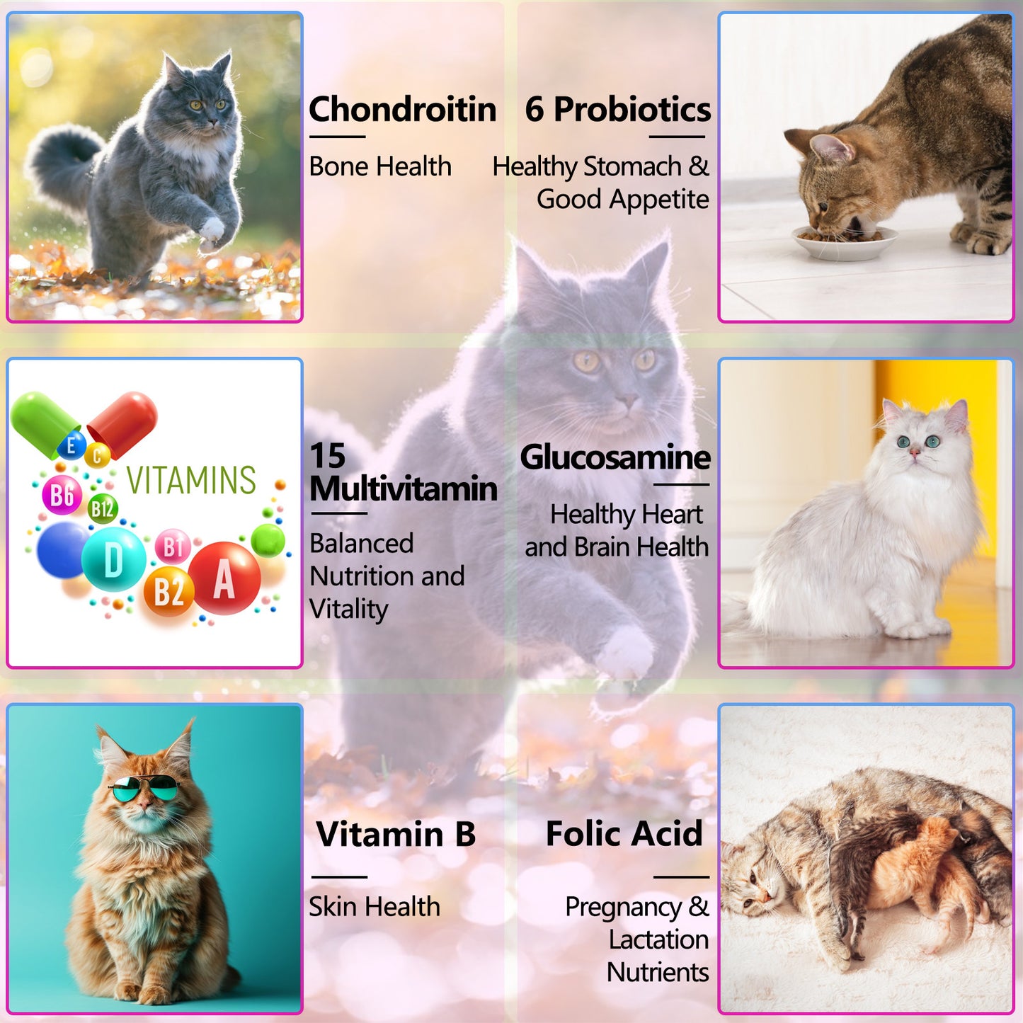 Buyourtaste 15 in 1 MULTIVITAMIN FOR CAT 60ML