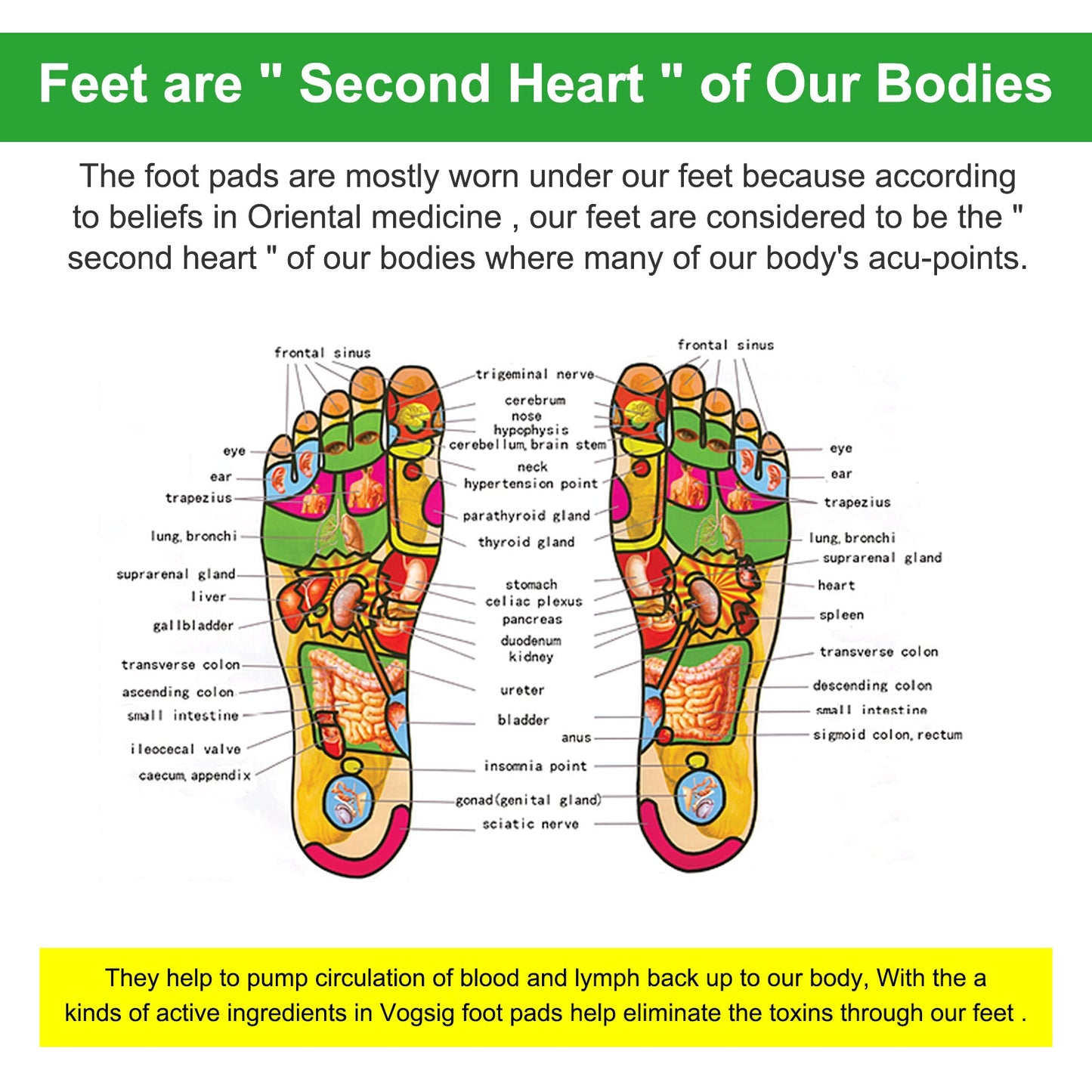 Sefudun 2in1 Deep Cleaning Foot Patch