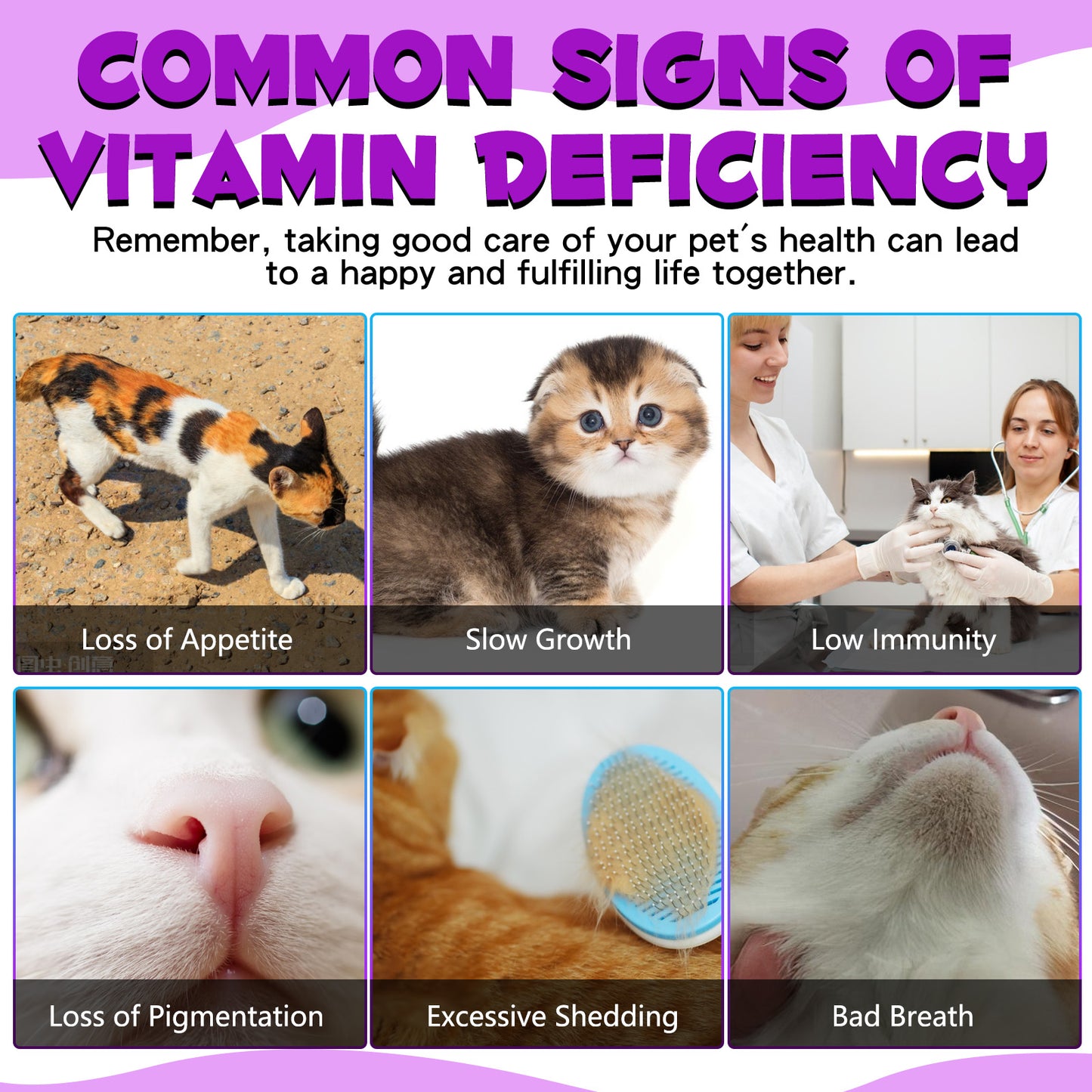 YFbDJGgr 15 in 1 MULTIVITAMIN FOR CAT 60ML