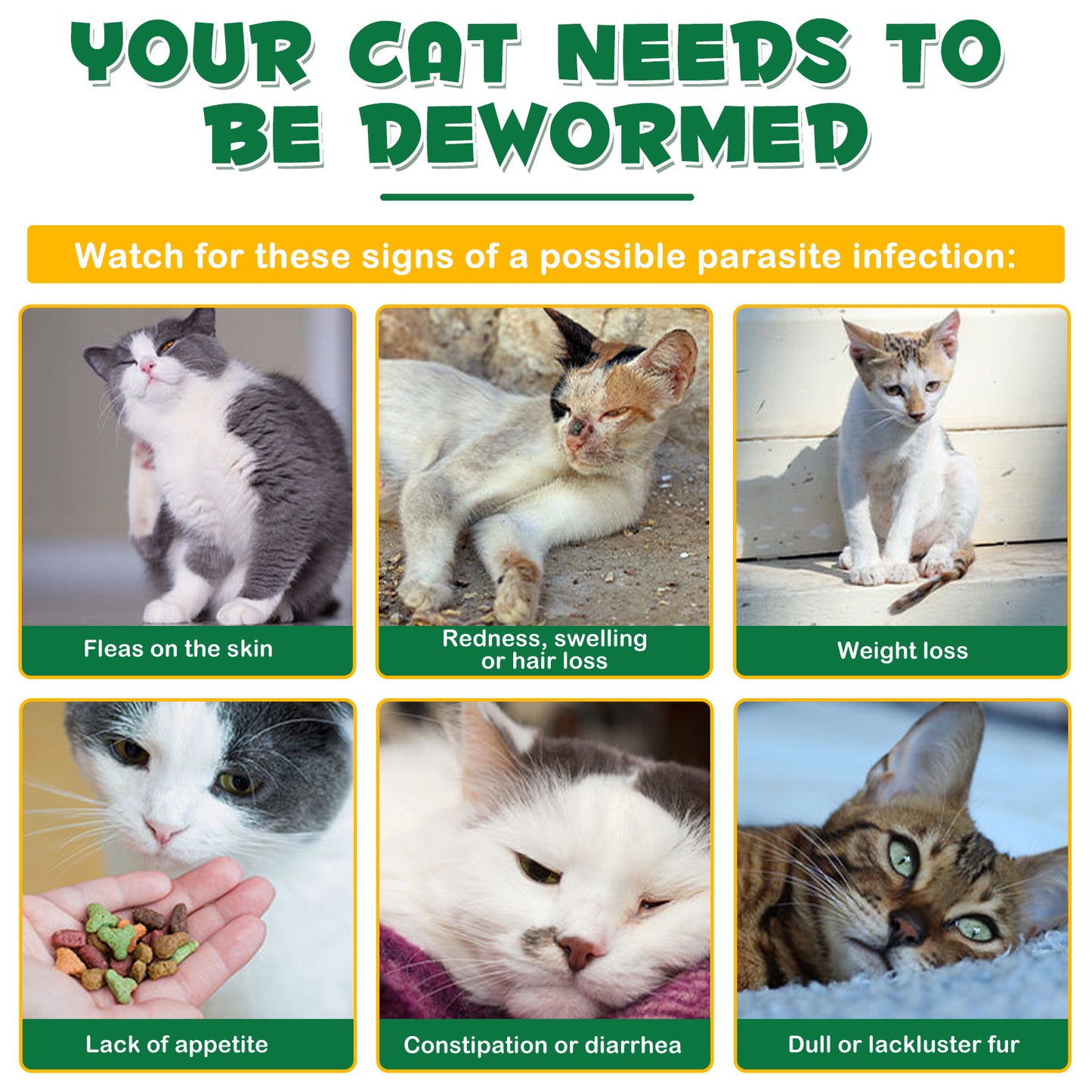 KITNOBLIS FLEA&TICK PREVENTION  For Cats