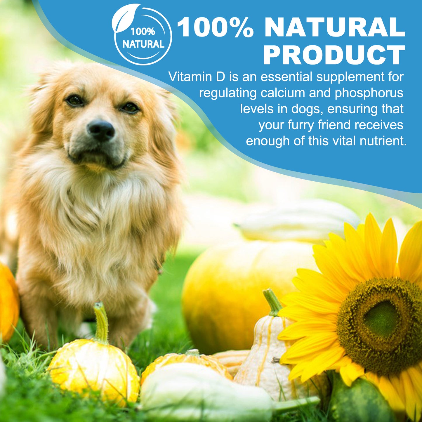 Feeliville LIQUID VITAMIN D FOR DOGS 60ML