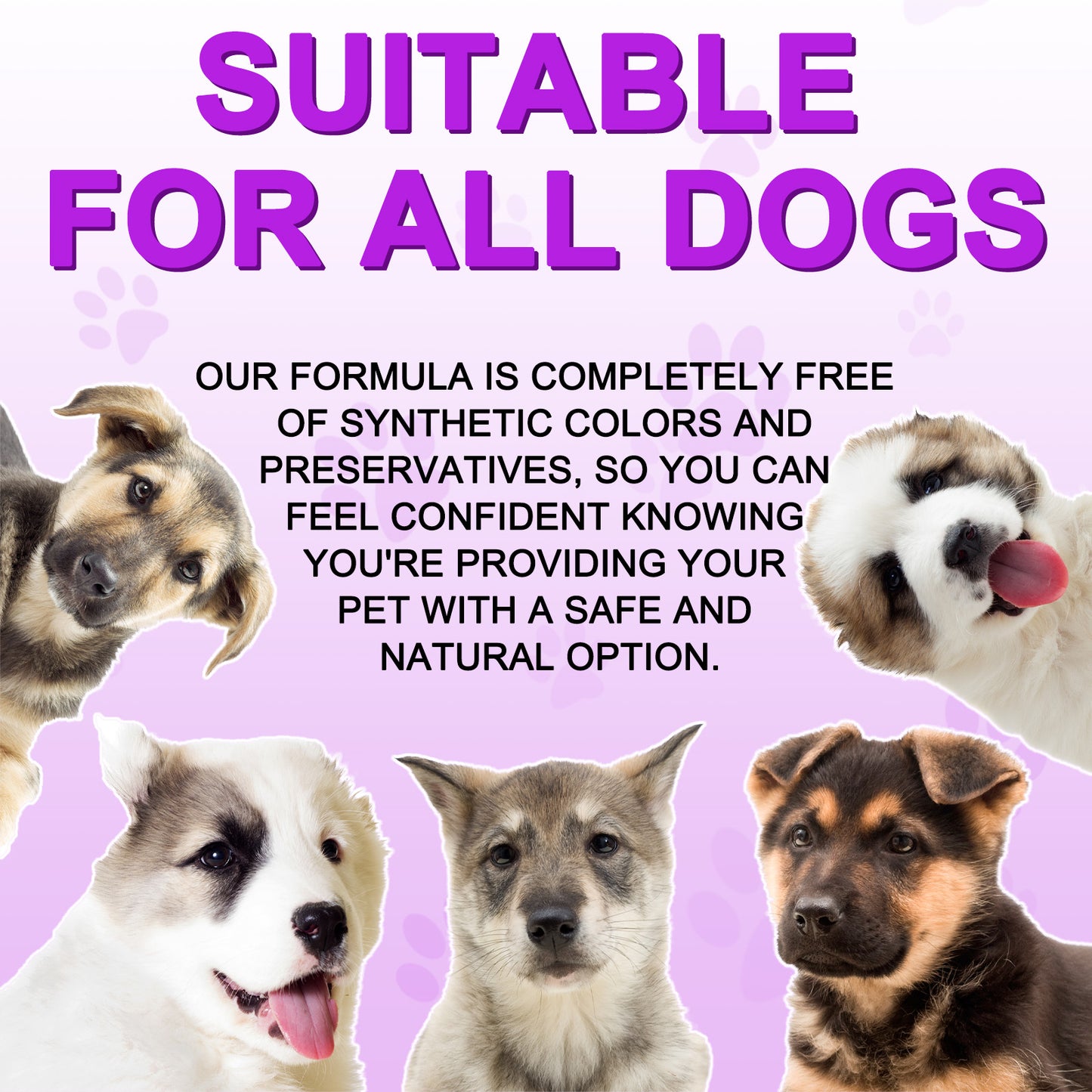 Daiasns 15 in 1 MULTIVITAMIN For All Dogs