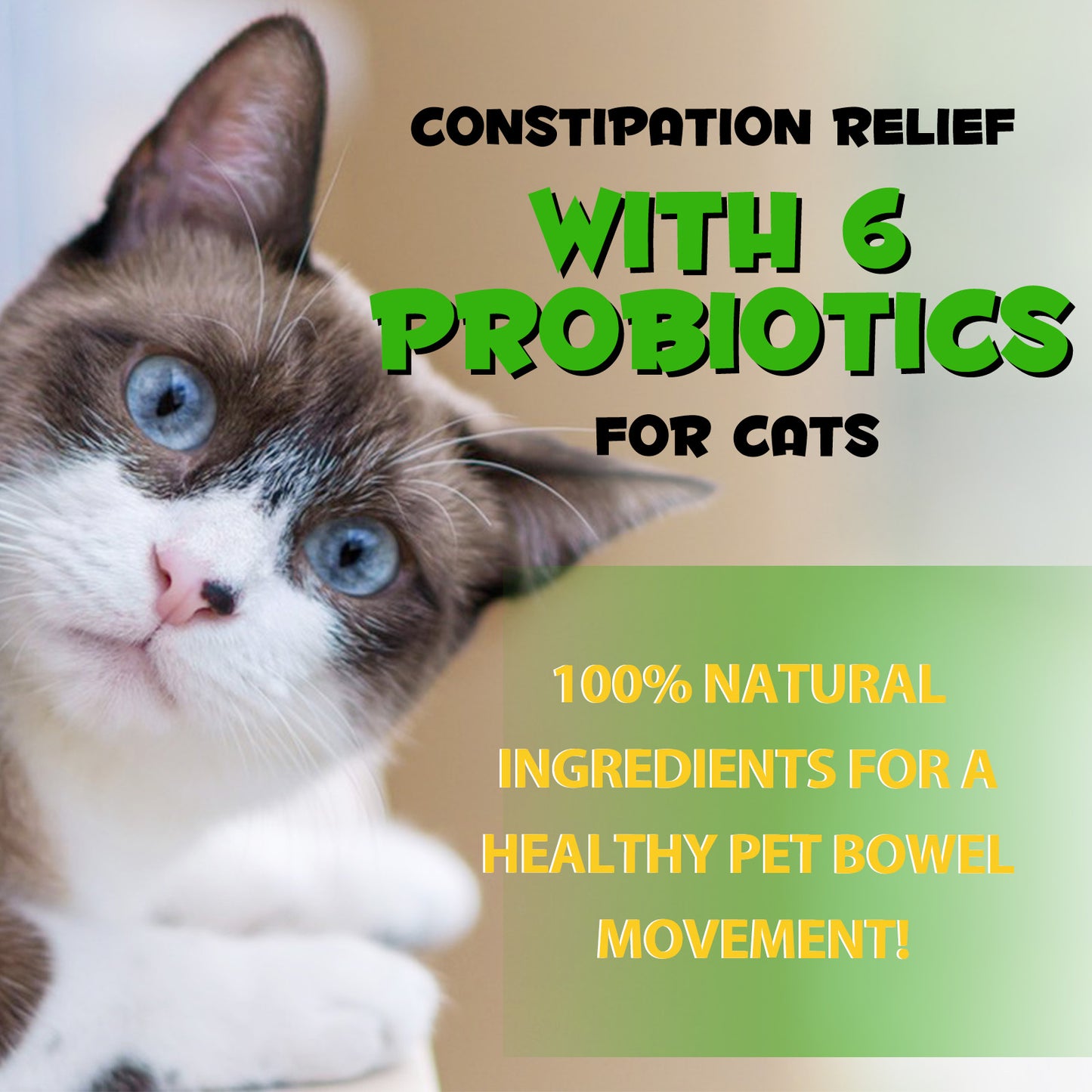 ONE1X CONSTIPATION RELIEP With 6 PROBIOTICS For Cats