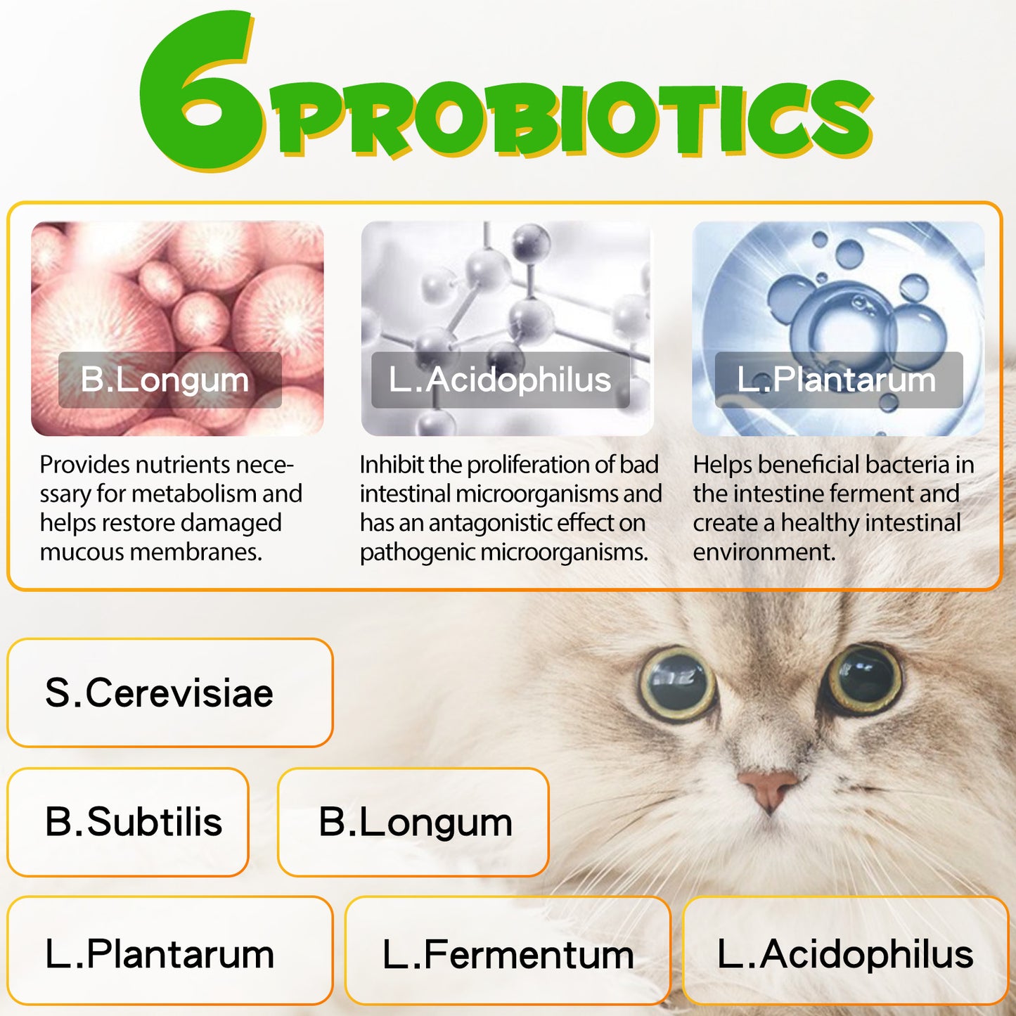 ONE1X CONSTIPATION RELIEP With 6 PROBIOTICS For Cats