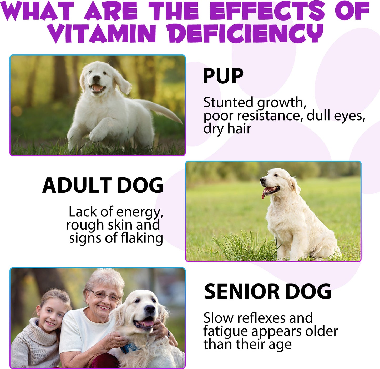 ccycjker 15in1 MULTIVITAMIN For Dogs 60ml