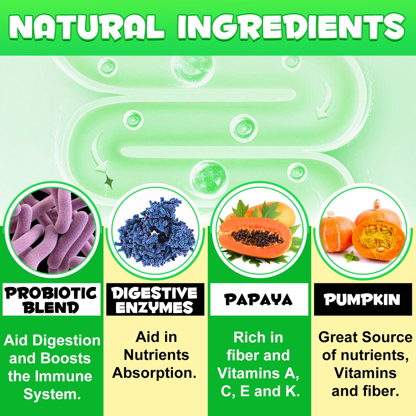 Daiasns PROBIOTICS & ENZYMES For All Dogs