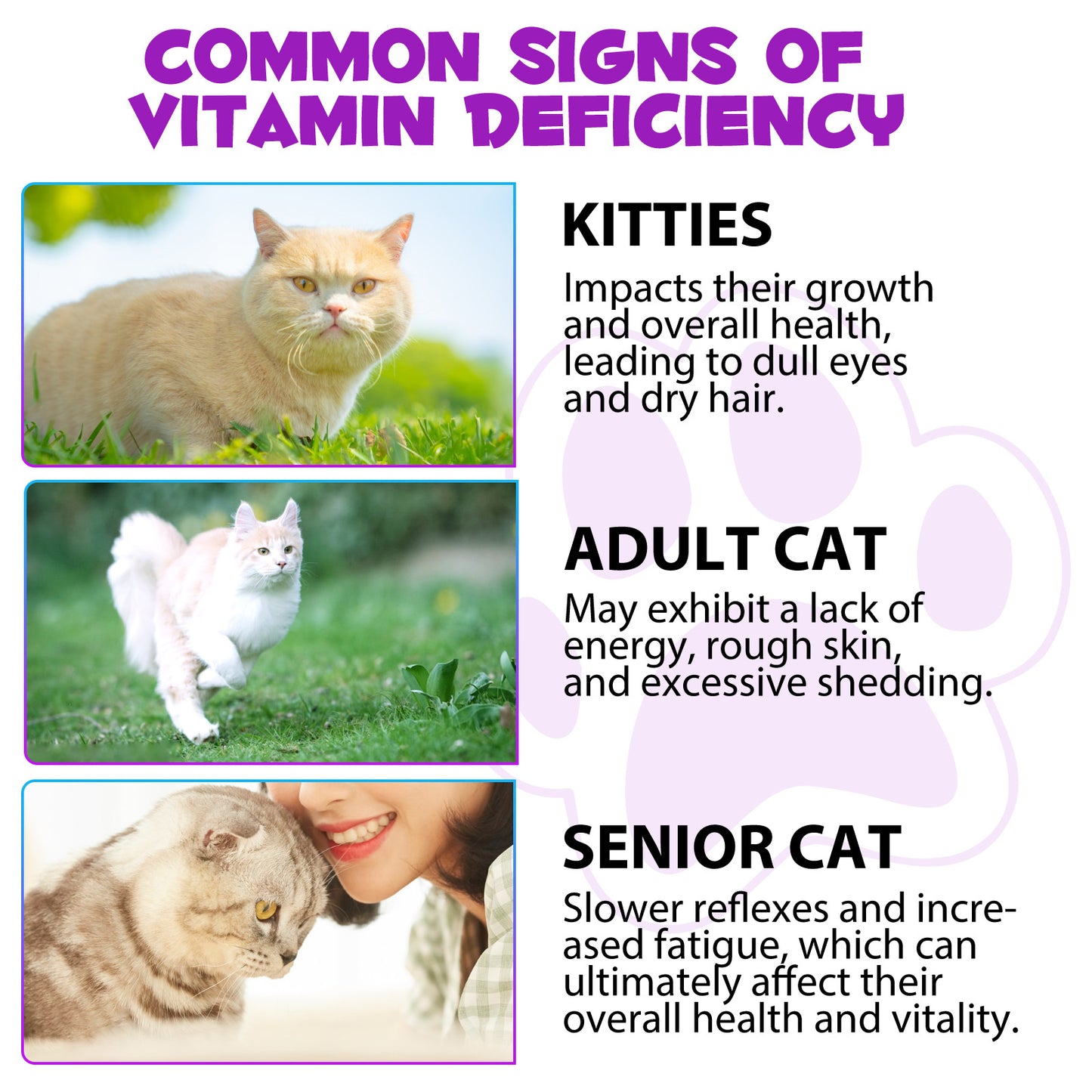 vopxccvy 15in1 MULTIVITAMIN For Cats