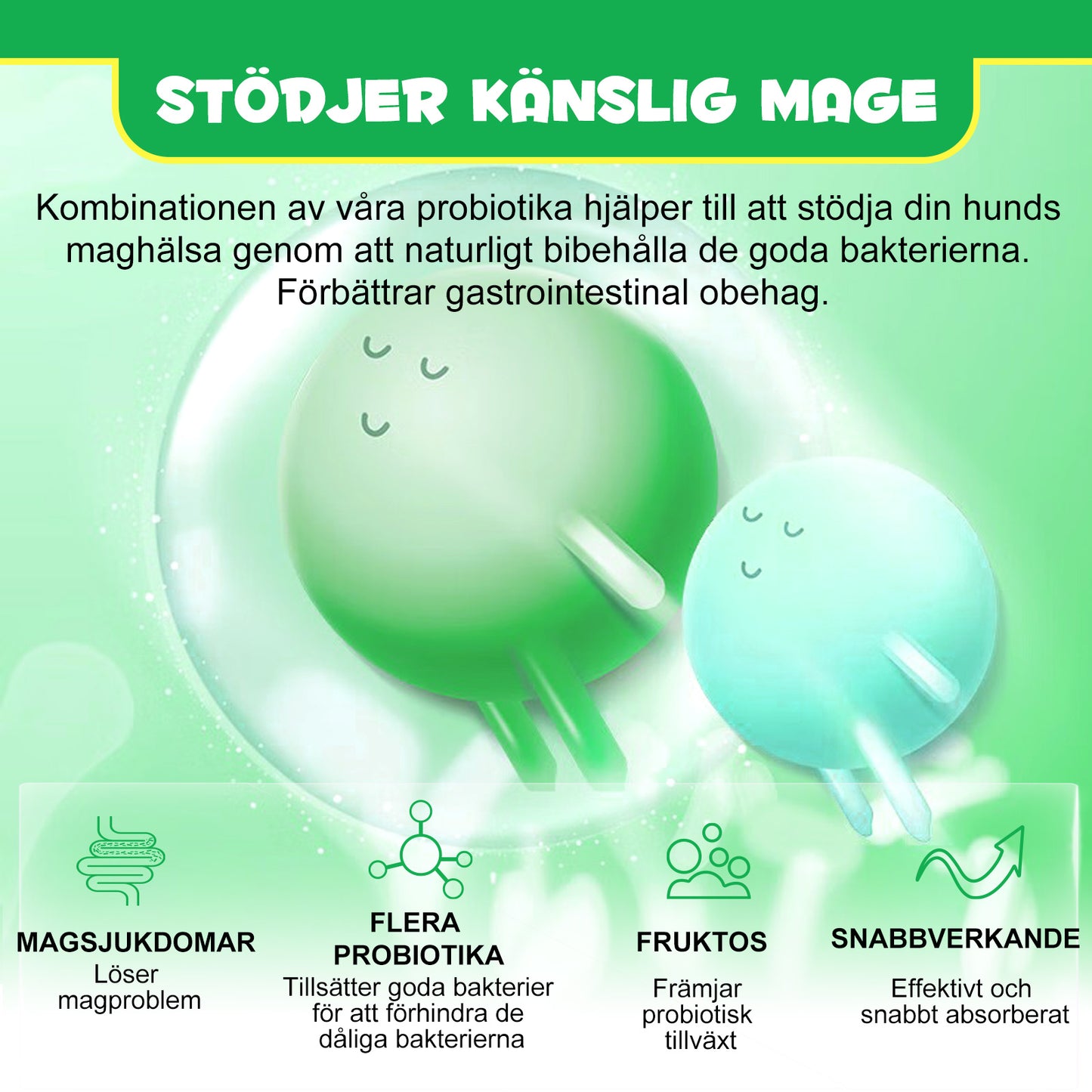 IMKCICSZ PRE & PROBIOTIC DIGESTIVE TREATS GUT + IMMUNE HEALTH