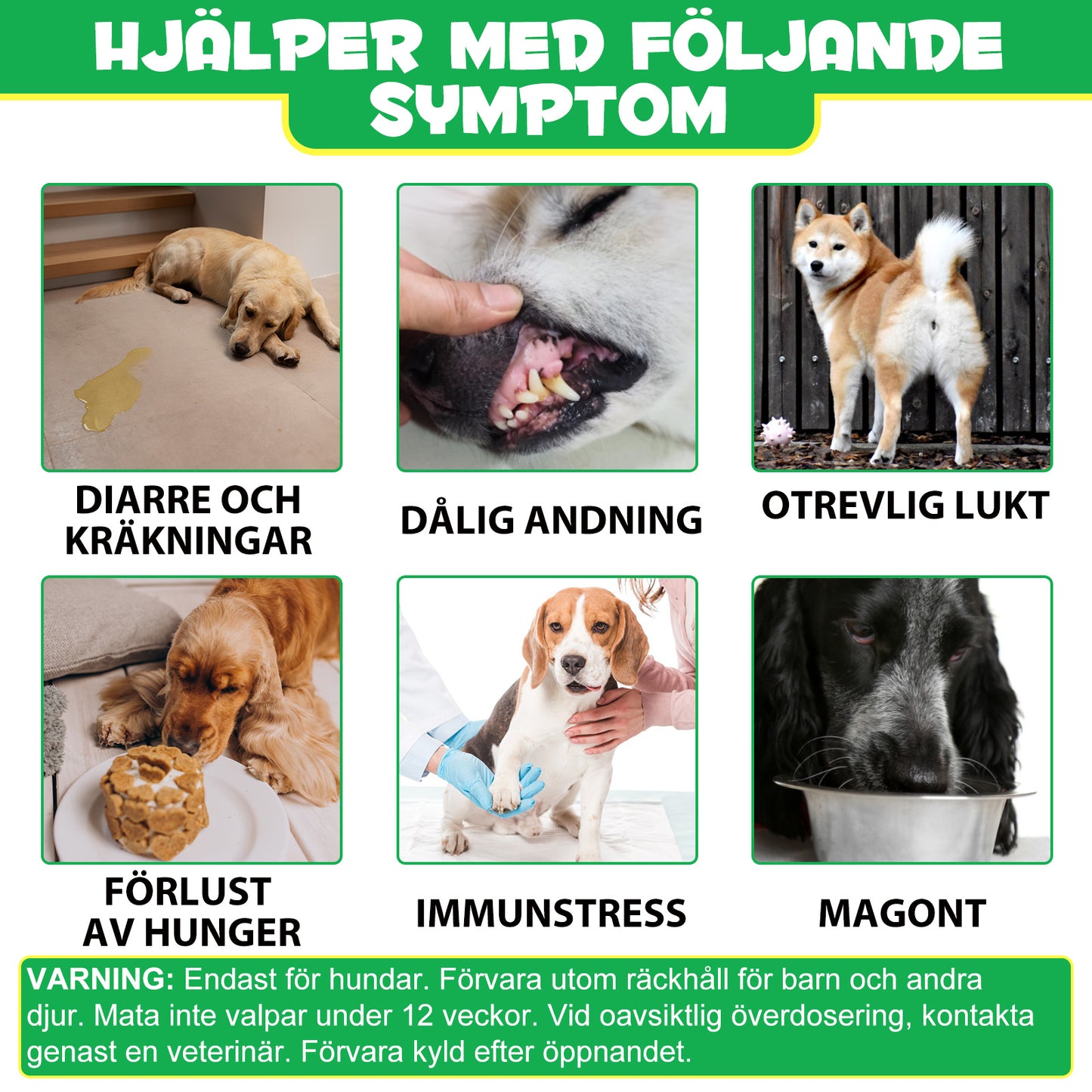 IMKCICSZ PRE & PROBIOTIC DIGESTIVE TREATS GUT + IMMUNE HEALTH