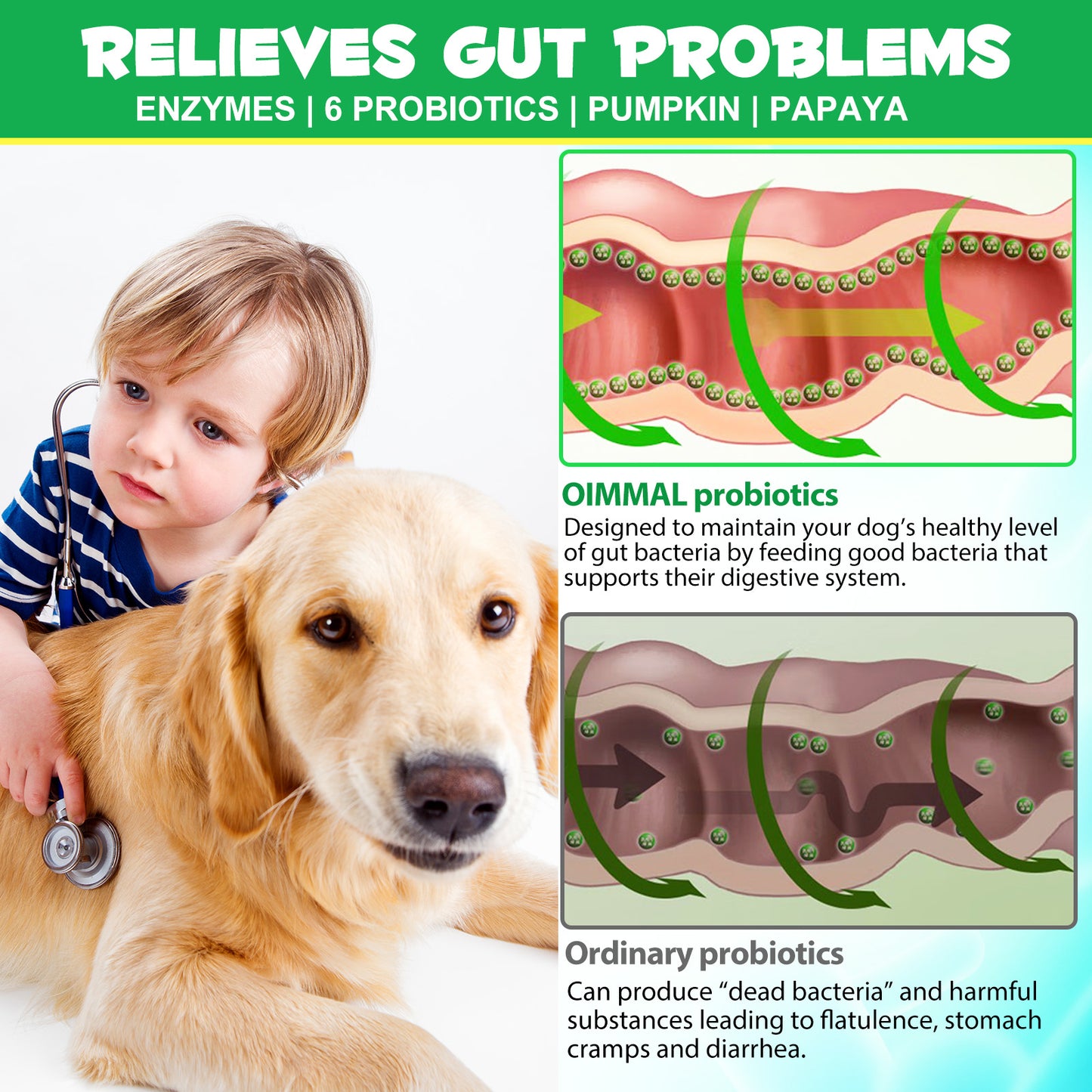 Daiasns PROBIOTICS & ENZYMES For All Dogs