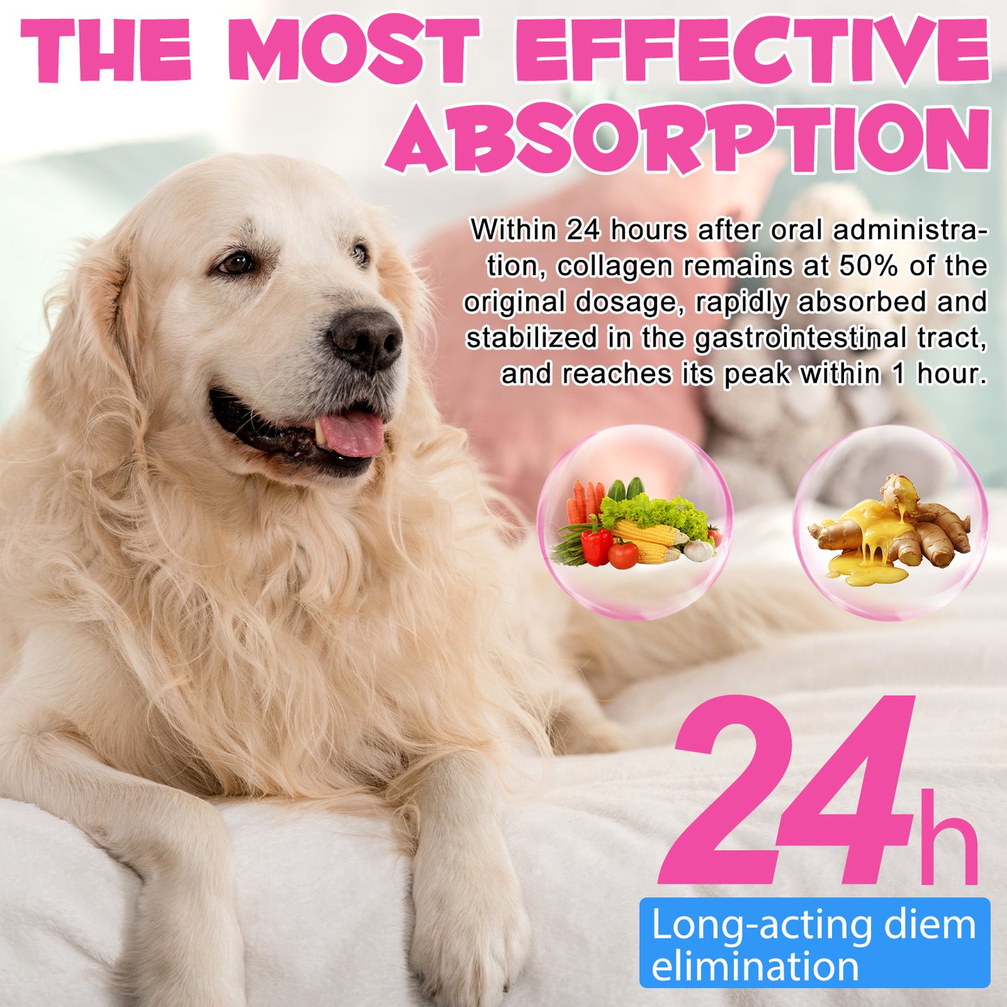 WOJBALMN COLLAGEN with Biotin,MSM & Ging,Treament For Dogs