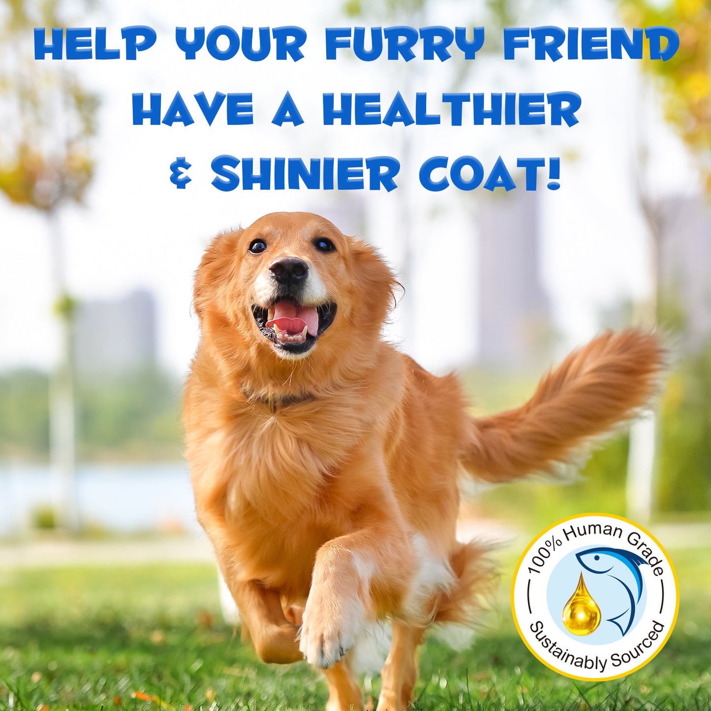 FANSHI PREMIUM WILD ALASKANSALMON OIL