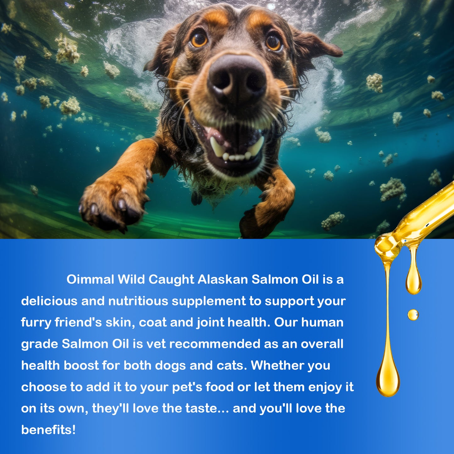 Daiasns PREMIUM WILD ALASKAN SALMON OIL
