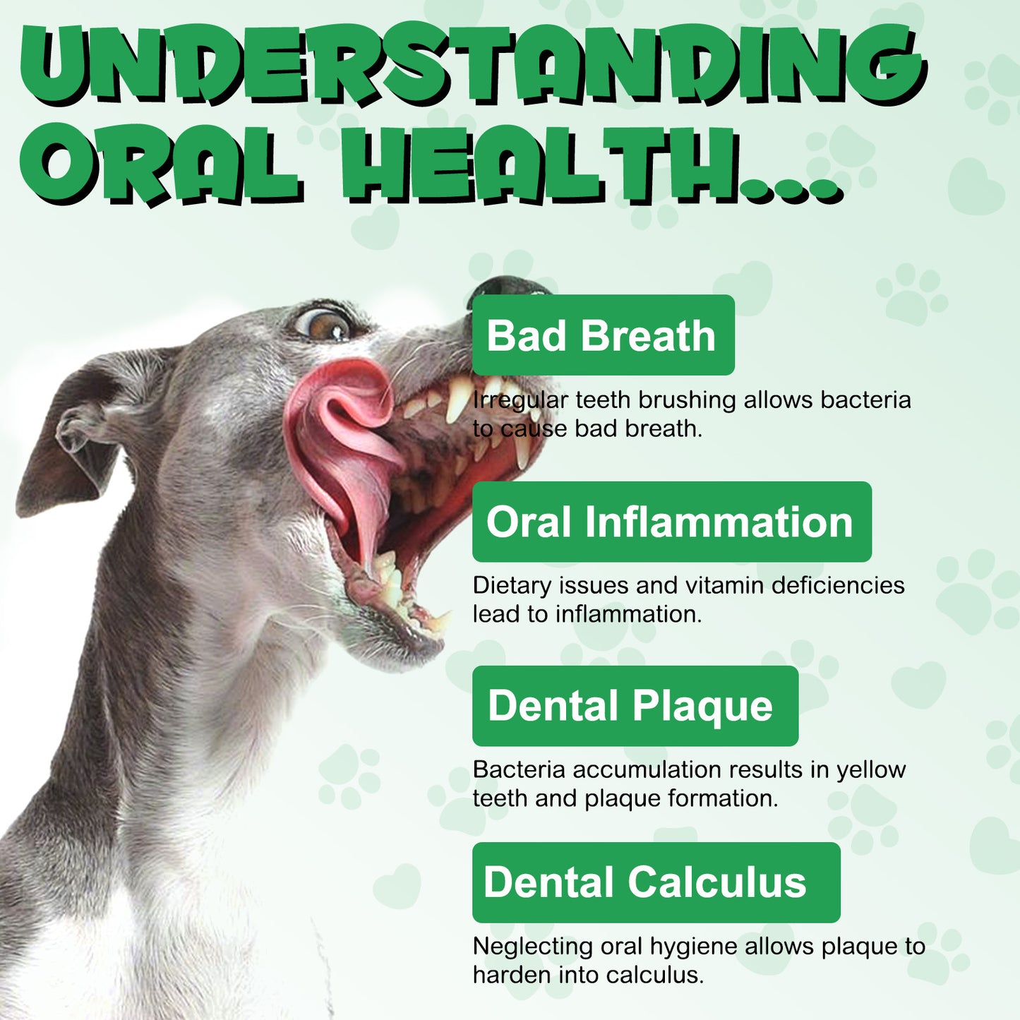 PEESNB 6-in-1 CANINE ORAL CARE SPRAY No Brushing Necessary!