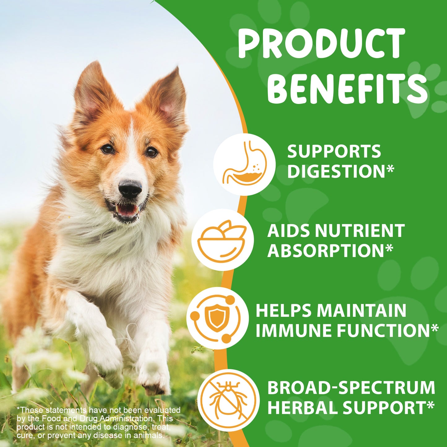 Daiasns HERBAL DE-WORMER with PROBIOTICS 100% NATURAL