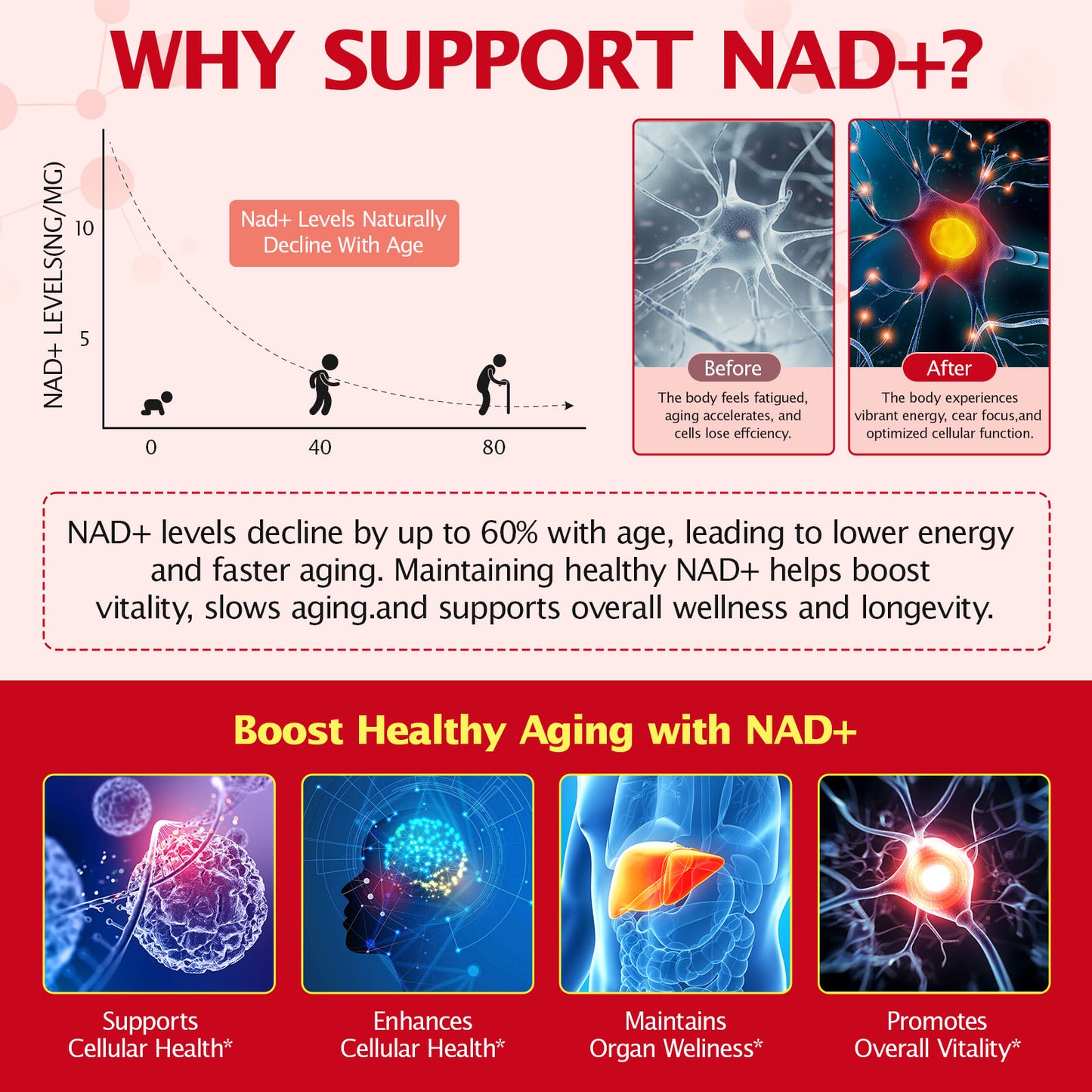 MRQMRJNU NICOTINAMIDE RIBOSIDE & RESVERATROL