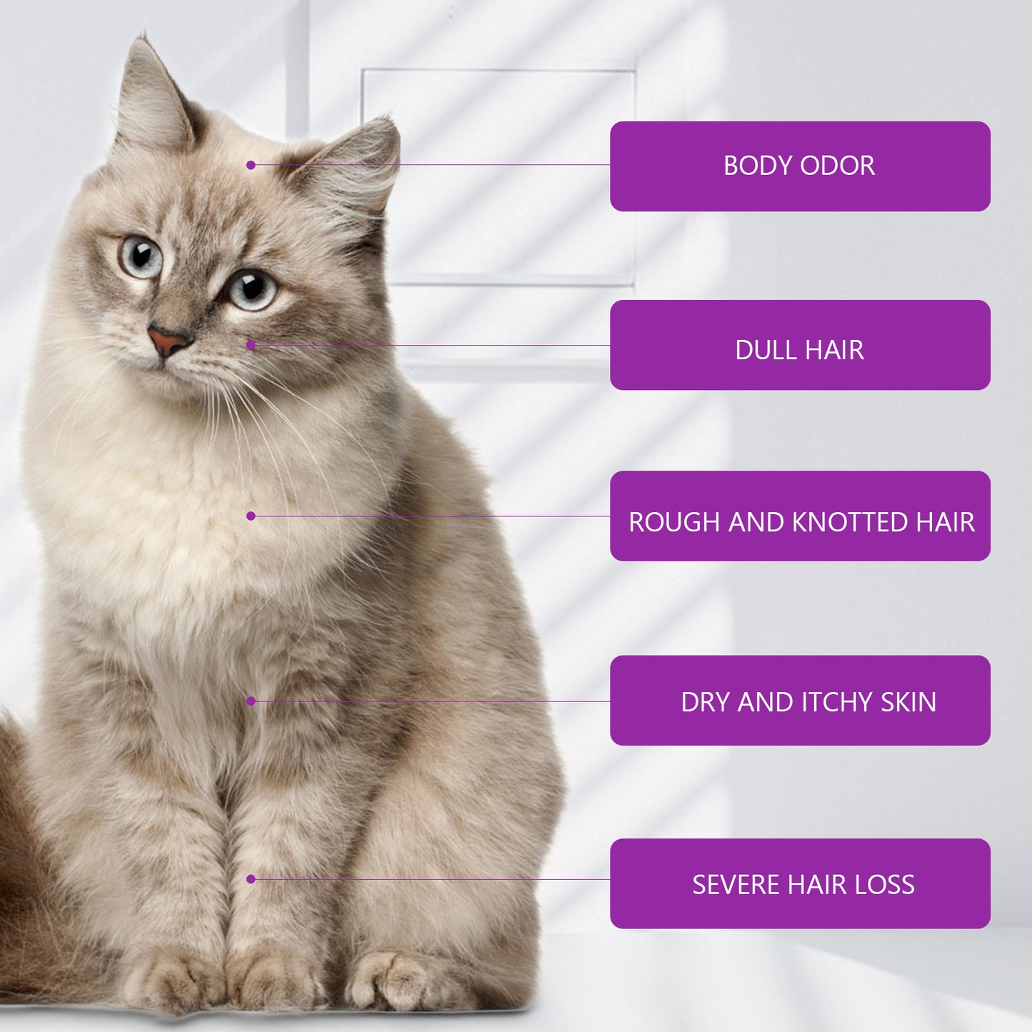 MUTUZO PET SHAMPOO & CONDITIONER