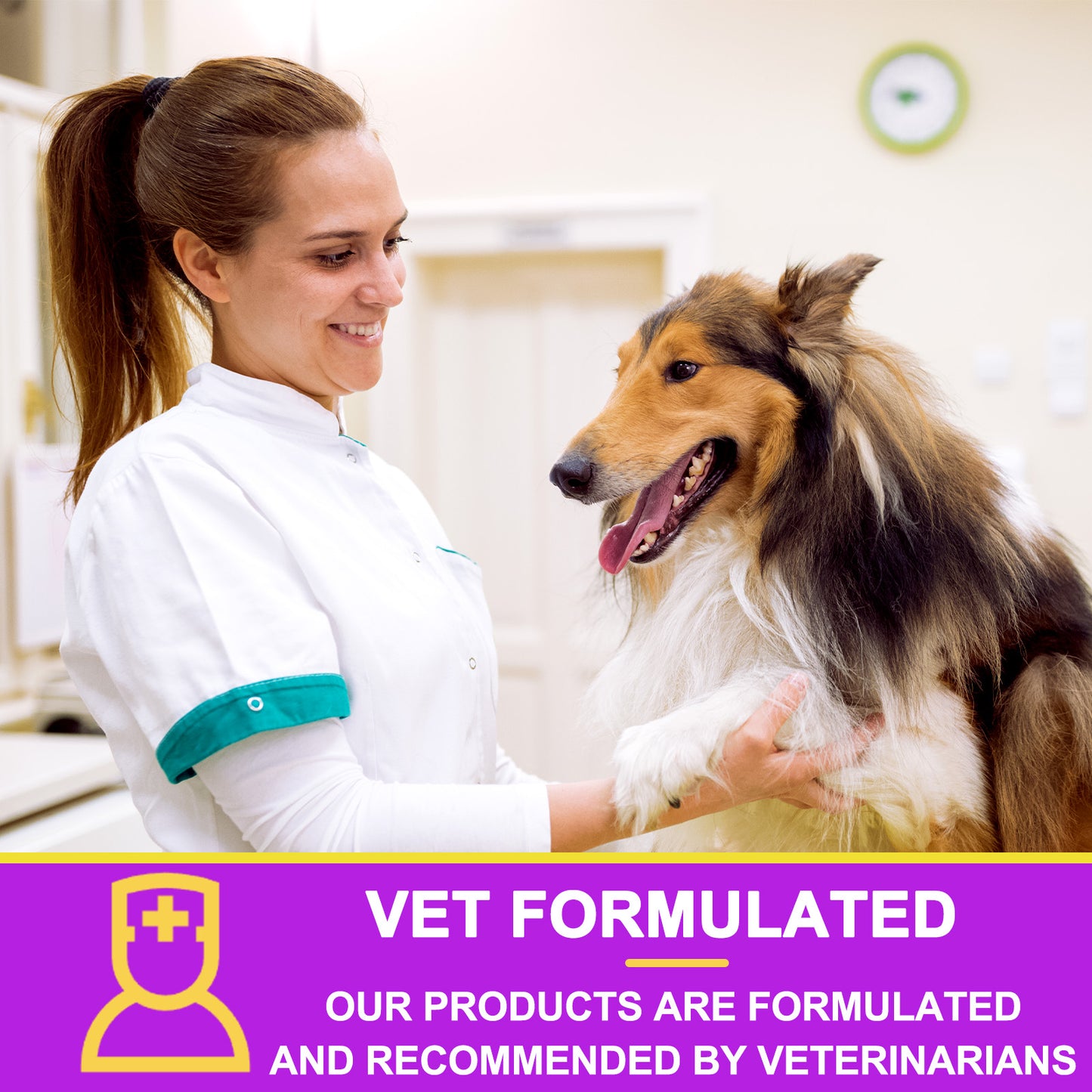 MIANZIPUL 15 in 1 MULTIVITAMIN For All Dogs