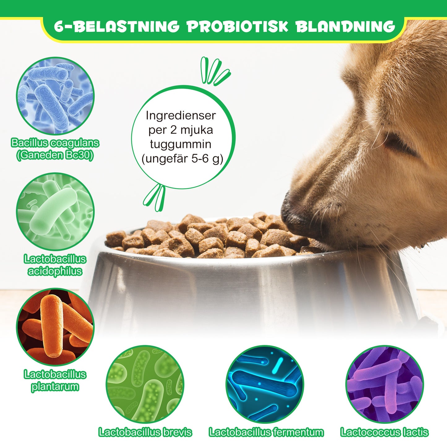 Daiasns PRE & PROBIOTIC DIGESTIVE TREATS GUT + IMMUNE HEALTH